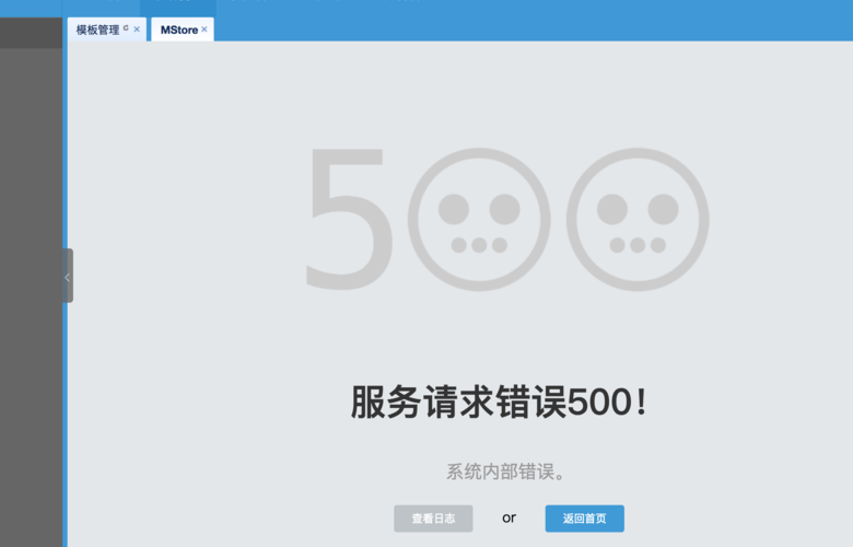 浏览器500报错